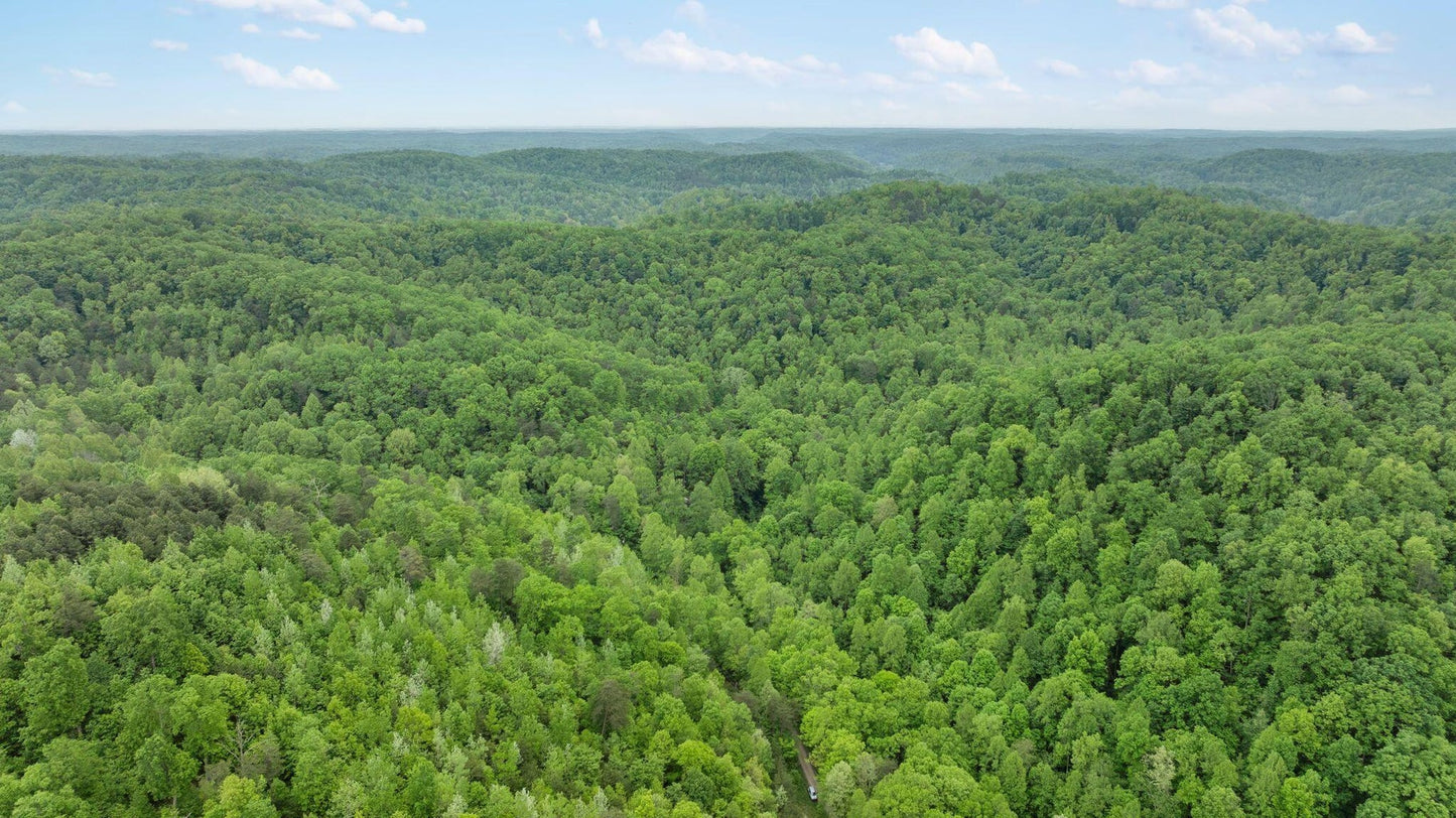 Own a Piece of Nature: 37 Acres in Sandgap, KY