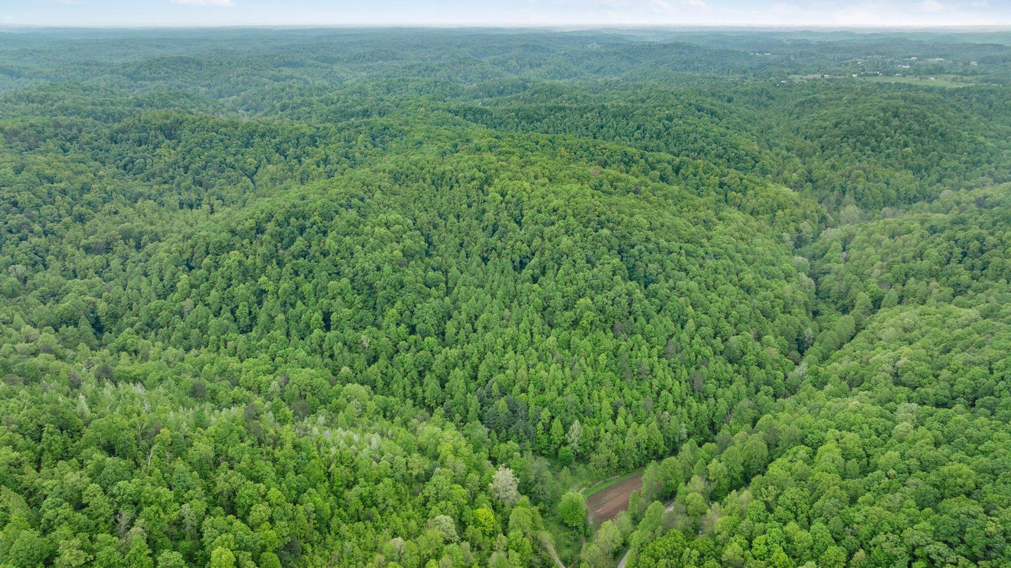 Own a Piece of Nature: 37 Acres in Sandgap, KY