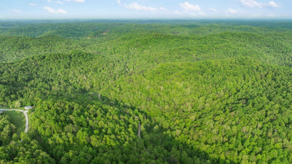 Own a Piece of Nature: 37 Acres in Sandgap, KY