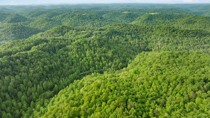 Own a Piece of Nature: 37 Acres in Sandgap, KY