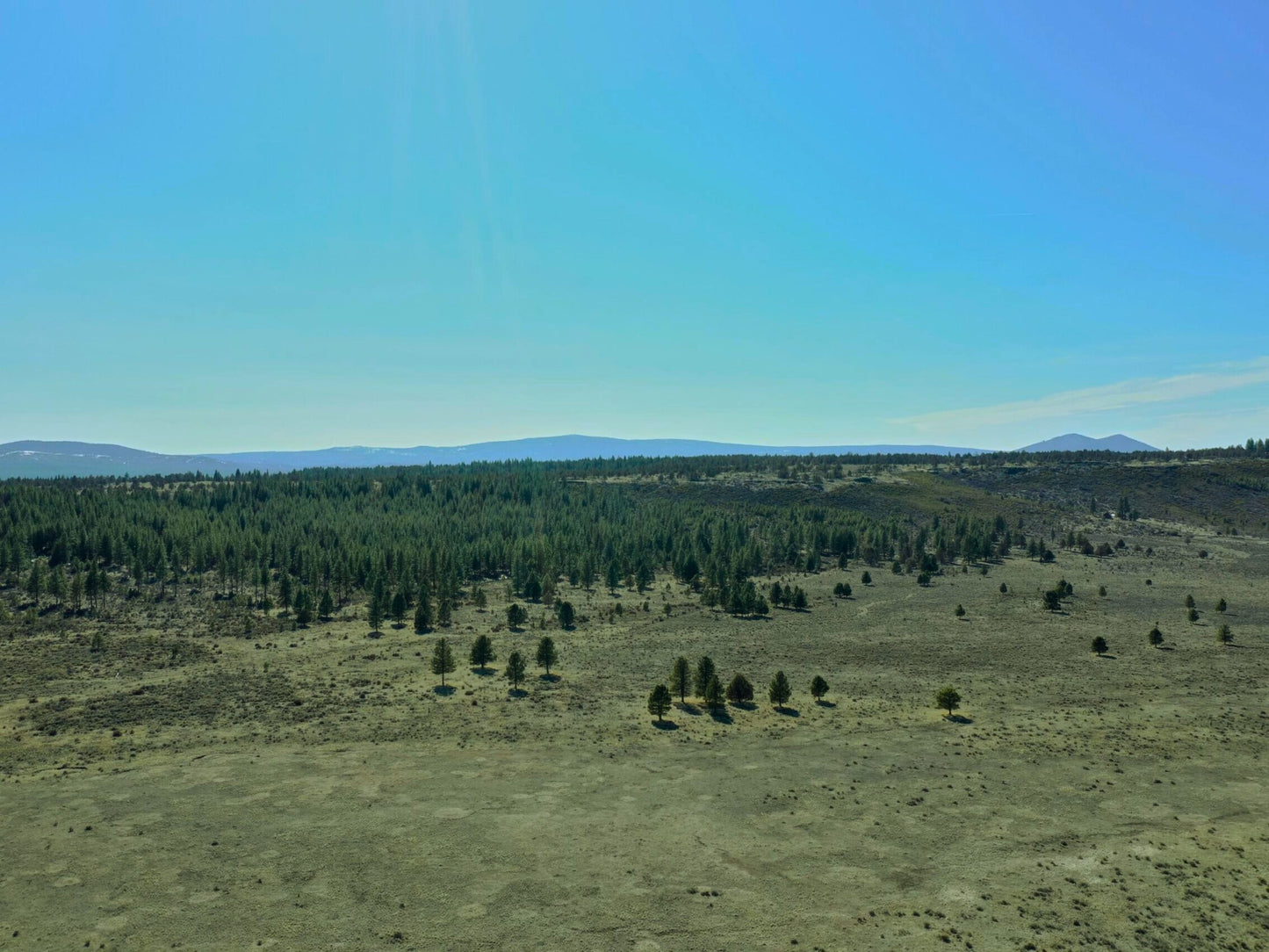 Finally, The Land You’ve Dreamed Of – 1.6 Acres of Untouched Beauty Near Fremont-Winema National Forest