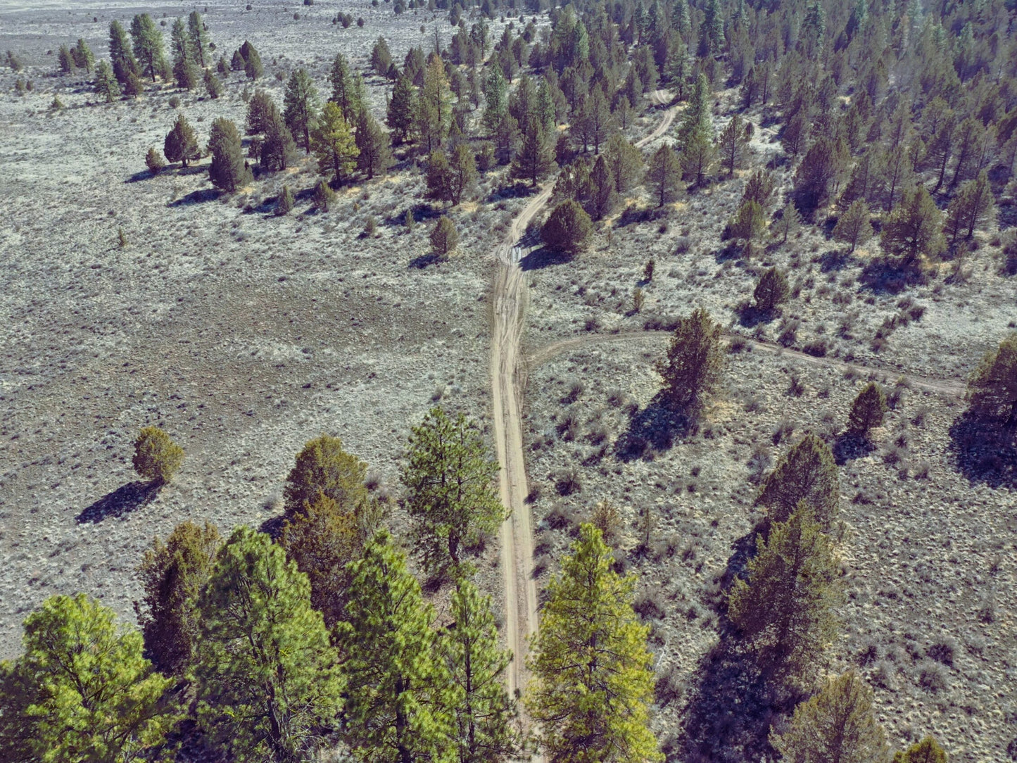 Finally, The Land You’ve Dreamed Of – 1.6 Acres of Untouched Beauty Near Fremont-Winema National Forest