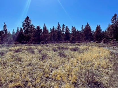 Finally, The Land You’ve Dreamed Of – 1.6 Acres of Untouched Beauty Near Fremont-Winema National Forest