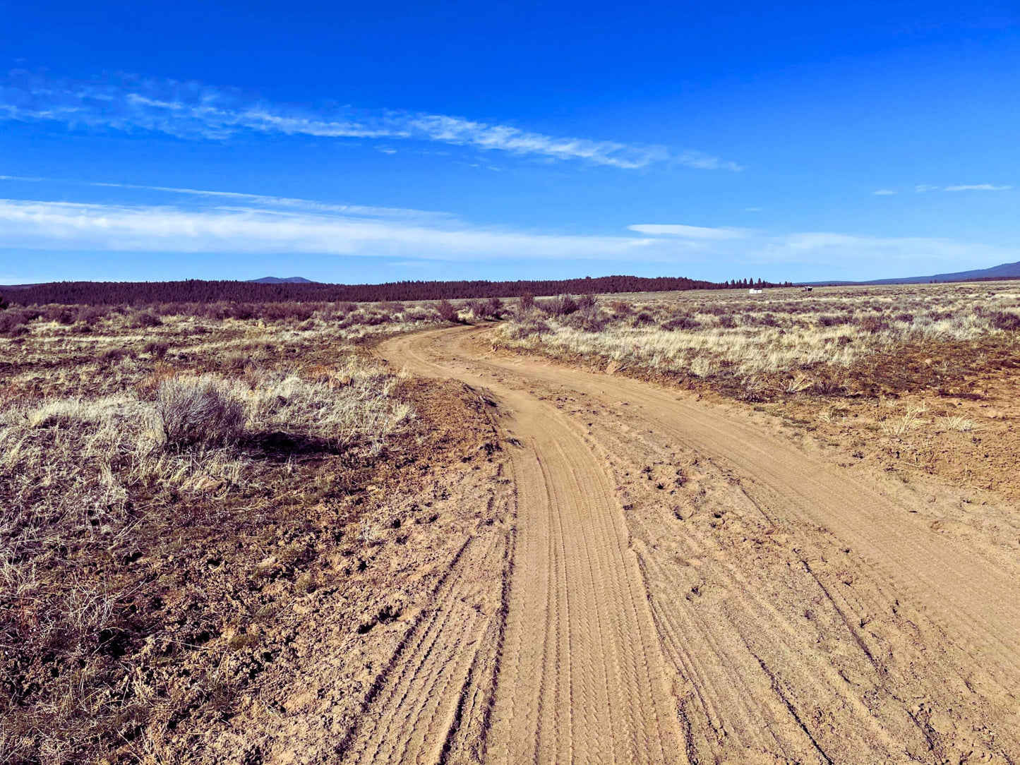 Finally, The Land You’ve Dreamed Of – 1.6 Acres of Untouched Beauty Near Fremont-Winema National Forest