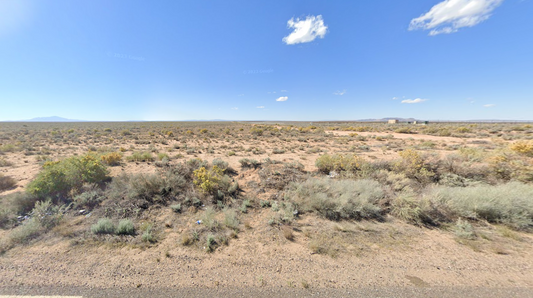 Rare Gem: 0.33 Exceptional Acres in NM for a Bargain! $75/Mo