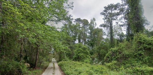 Affordable Land Near Jacksonville, FL – 0.46 Acres to Build Your Future!