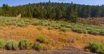 Would You Love Owning 1.54 Acres Near Sprague River? Here’s Your Chance!