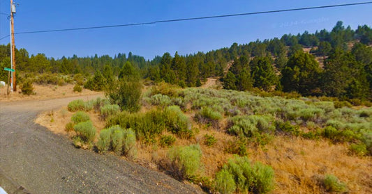 Would You Love Owning 1.54 Acres Near Sprague River? Here’s Your Chance!