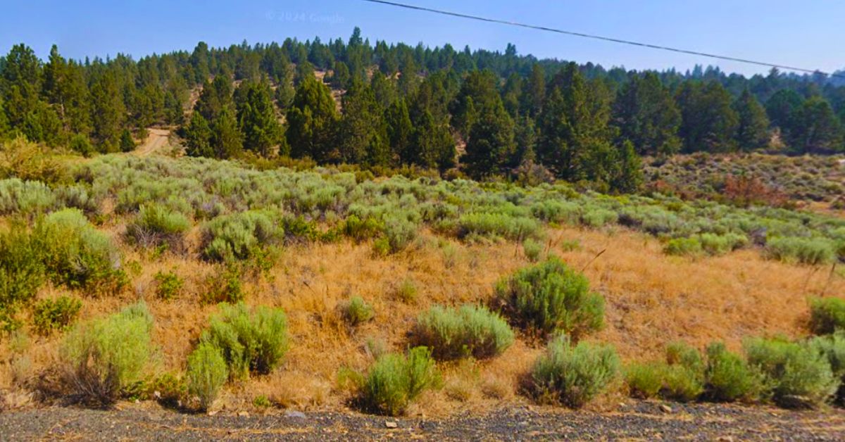 Would You Love Owning 1.54 Acres Near Sprague River? Here’s Your Chance!