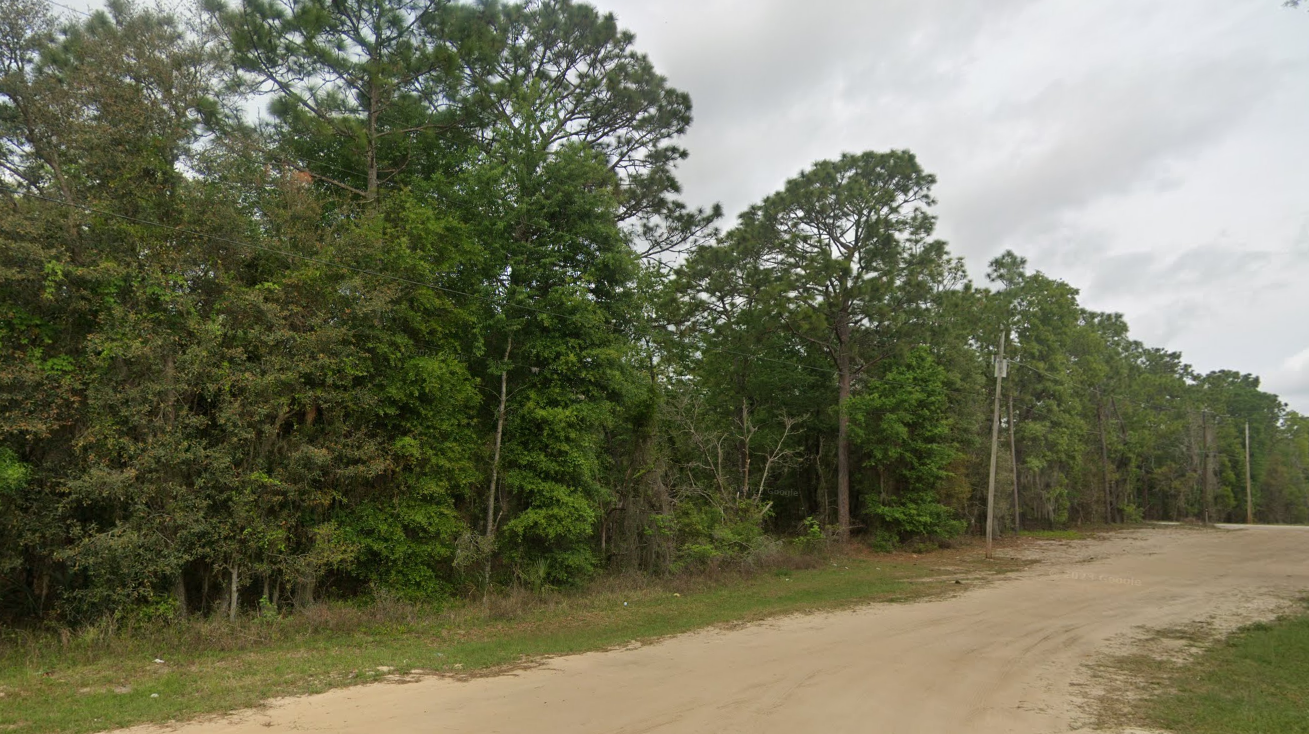 Affordable Land Near Jacksonville, FL – 0.46 Acres to Build Your Future!