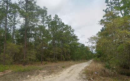 Affordable Land Near Jacksonville, FL – 0.46 Acres to Build Your Future!