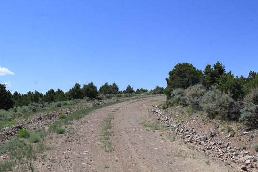 Your Private Mountain Awaits: 5.31 Acres in Sangre de Cristo Ranches