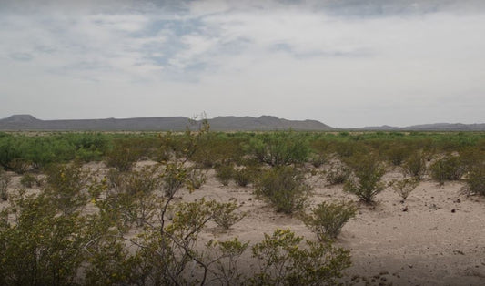 10 Acres in Wild Horse Draw, Jeff Davis County, Texas