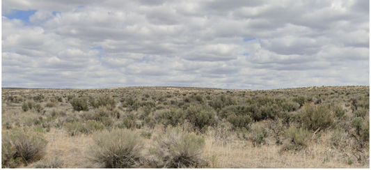 Prime 2.06-Acre Easily Accessed Land in Elko County! $125/Mo