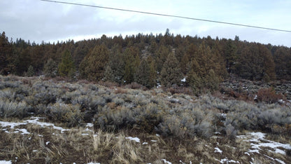 Would You Love Owning 1.54 Acres Near Sprague River? Here’s Your Chance!