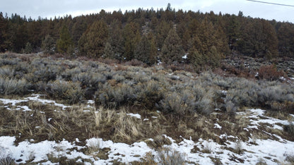 Would You Love Owning 1.54 Acres Near Sprague River? Here’s Your Chance!