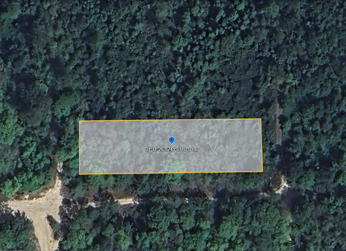 Affordable Land Near Jacksonville, FL – 0.46 Acres to Build Your Future!