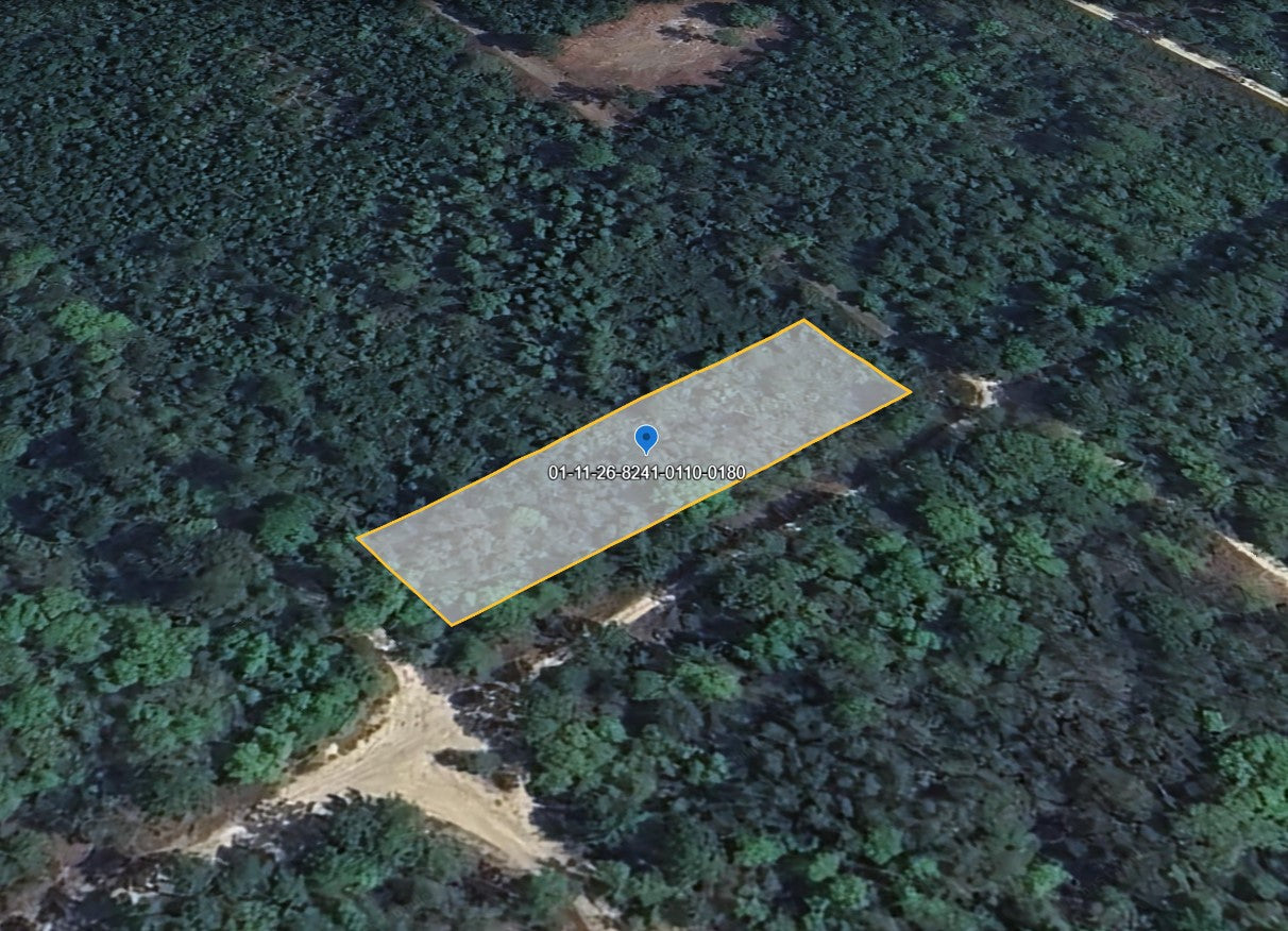 Affordable Land Near Jacksonville, FL – 0.46 Acres to Build Your Future!