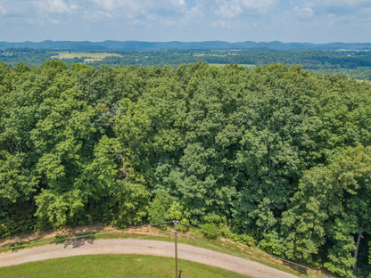 🌳 Unveil Your Dream: 13.75 Acres: Madisonville TN Haven 🌅