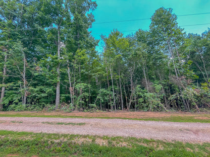 🌳 Unveil Your Dream: 13.75 Acres: Madisonville TN Haven 🌅