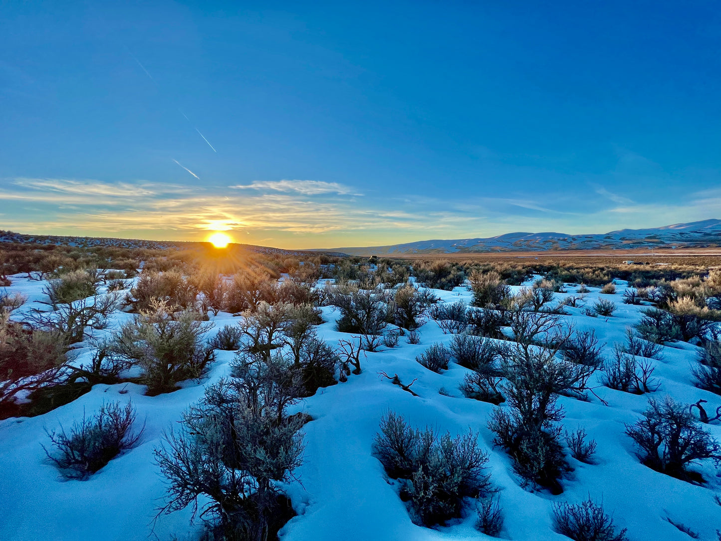 Secluded 10-Acre Up for Grabs in Elko County! $225/Mo