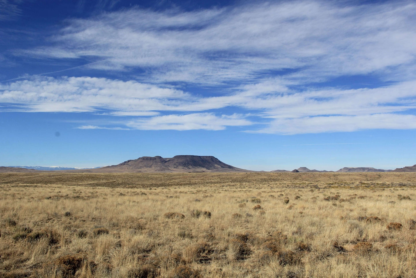 LOOK! Your Colorado Dream Starts Here—Discover 5.55 Acres of Untamed Beauty You’ll Be Proud to Call Yours!