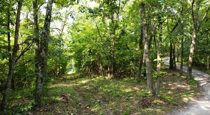 14.6 Acre Ridge Top Homesite