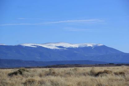 LOOK! Your Colorado Dream Starts Here—Discover 5.55 Acres of Untamed Beauty You’ll Be Proud to Call Yours!