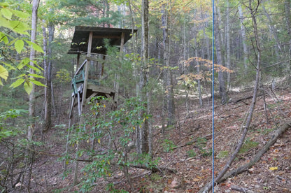 Private Mountain Property Extremely Close To National Forest