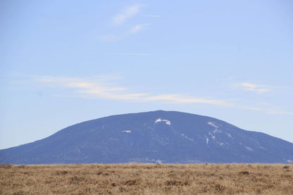 LOOK! Your Colorado Dream Starts Here—Discover 5.55 Acres of Untamed Beauty You’ll Be Proud to Call Yours!