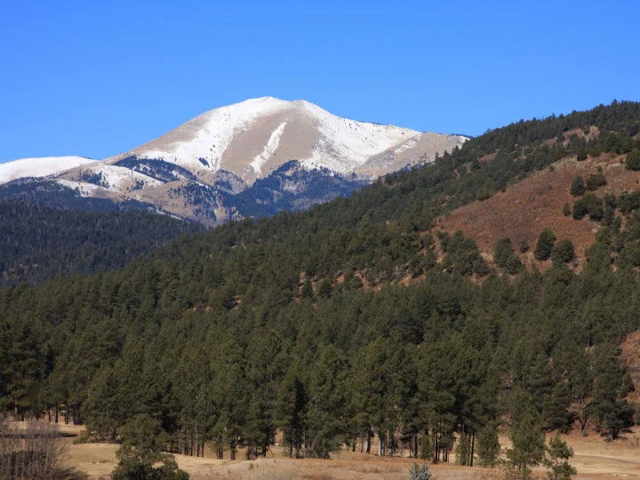 Mountain View Haven: Your Ultimate Outdoor Escape in Ruidoso, New Mexico