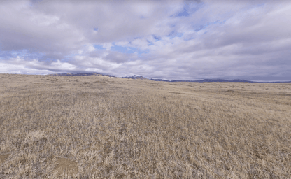 40 acres awaits in Imlay, NV!