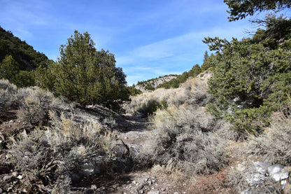 Incredible 5.36 acres mountain side in Fort Garland, CO!