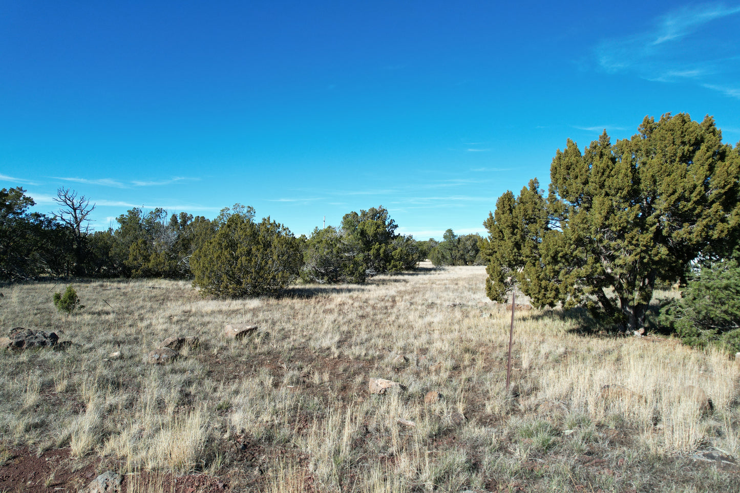 Show Low, AZ. - 1.16 Acres of Residential Vacant Land