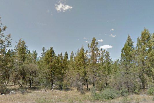 Stunning 6.4 Acre Treed Lot in Klamath County, OR